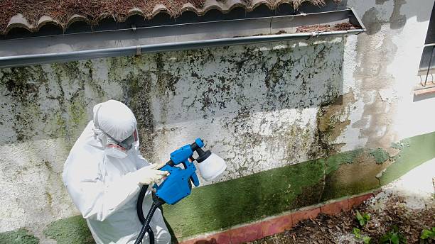 Top rated local Mold Inspection specialists in Bloomingdale, NJ